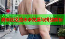 琳琅社区的未来发展与挑战解析